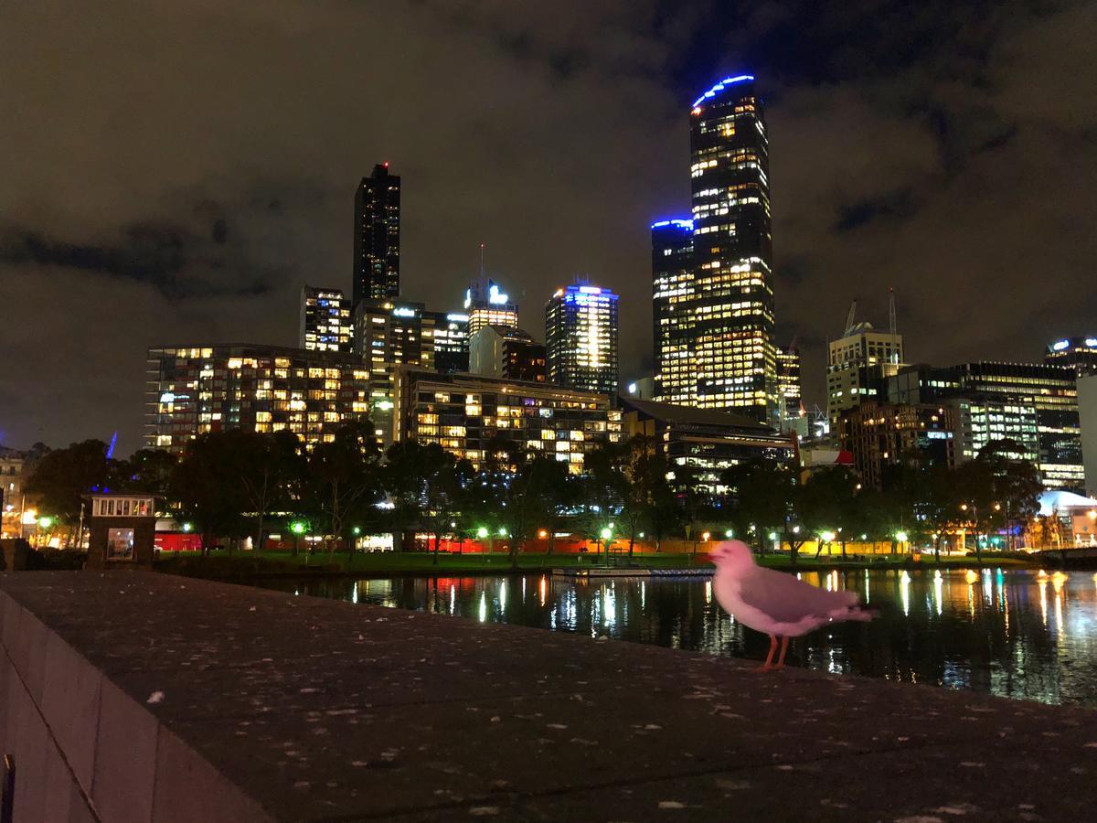 Melbourne River Views Lägenhet Exteriör bild